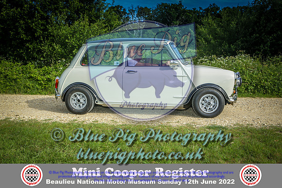 Blue Pig Photos-9-2