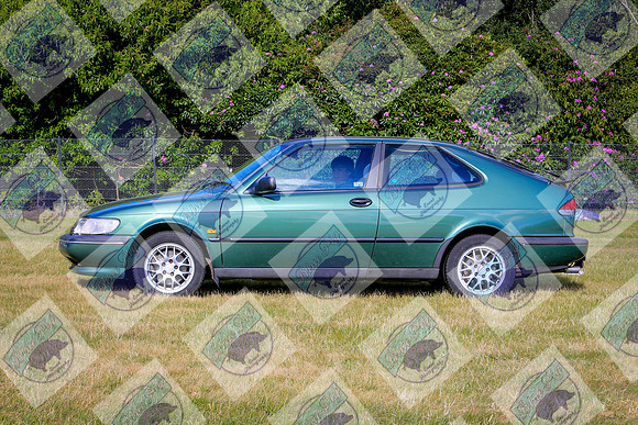 AM9A0382