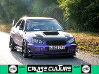 Cruise Culture 25