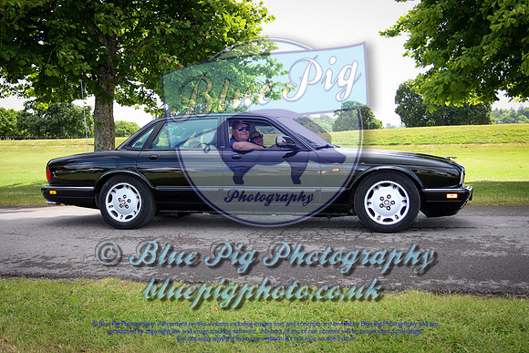 Simply Jag-7-2