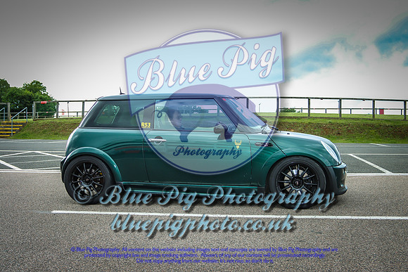Blue Pig Photos-12