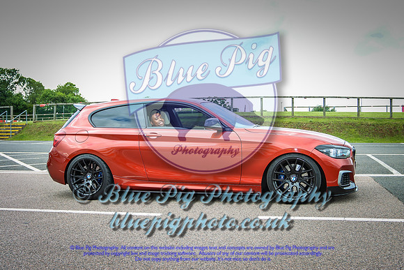 Blue Pig Photos-2