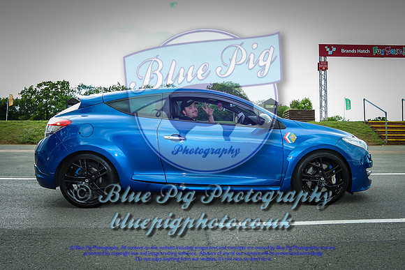 Blue Pig Photos-19
