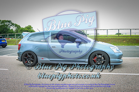 Blue Pig Photos-5