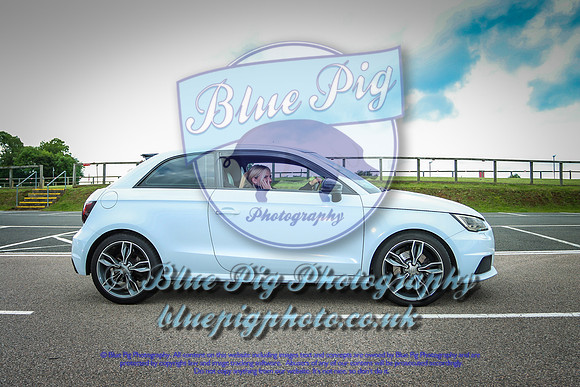 Blue Pig Photos-9