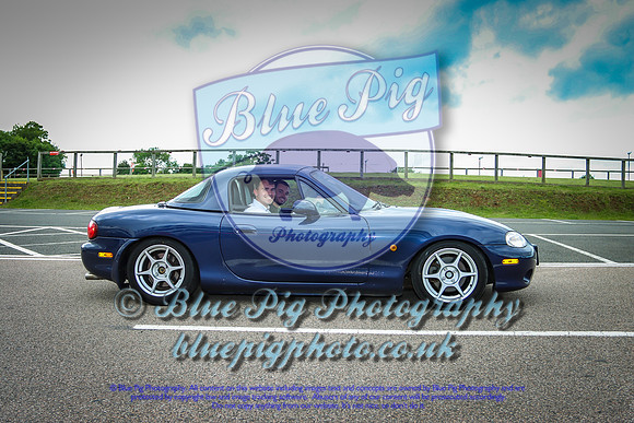Blue Pig Photos-6