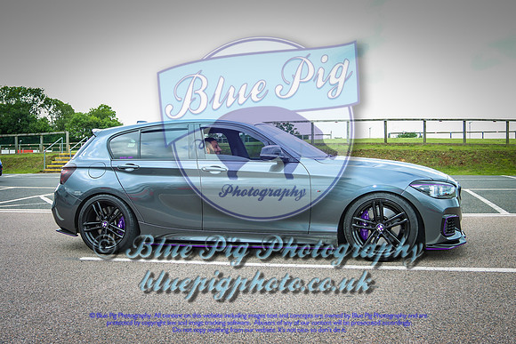 Blue Pig Photos-3