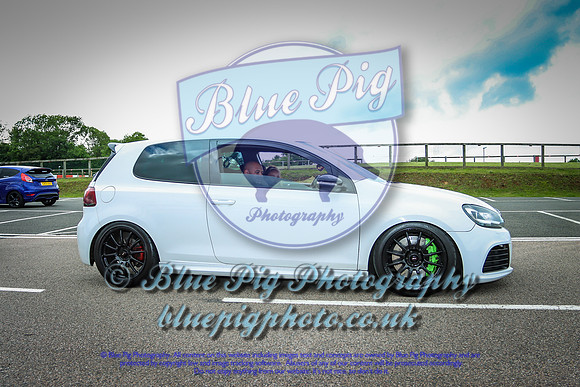 Blue Pig Photos-10
