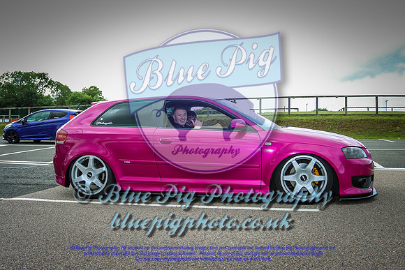 Blue Pig Photos-15