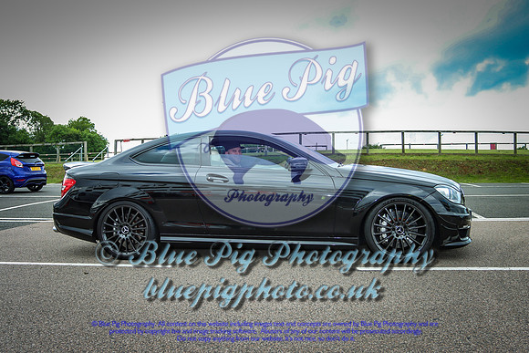 Blue Pig Photos-11