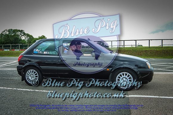 Blue Pig Photos-16