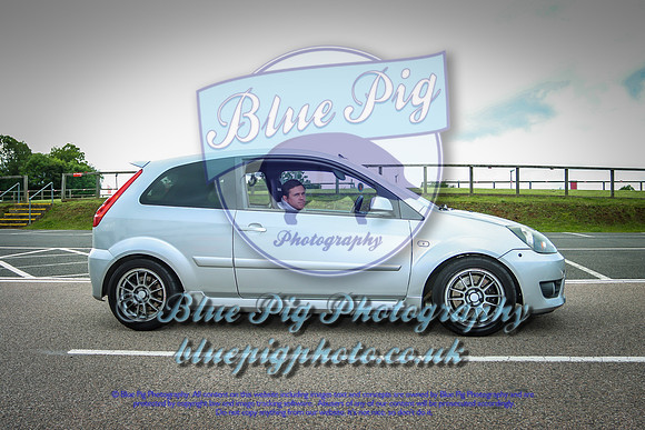 Blue Pig Photos-14