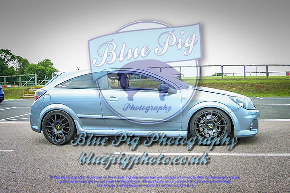 Blue Pig Photos-4