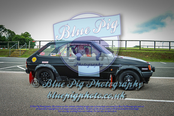 Blue Pig Photos-13