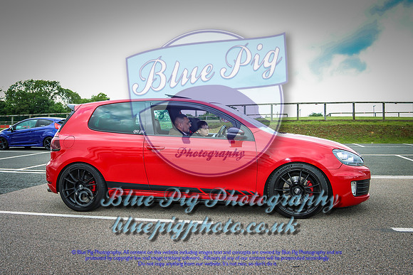 Blue Pig Photos-8