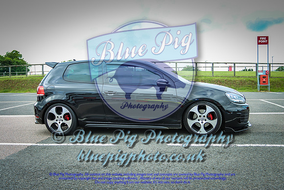 Blue Pig Photos-1