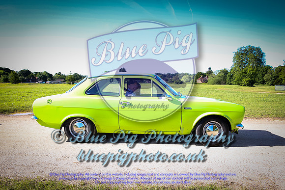Blue Pig Photos-2