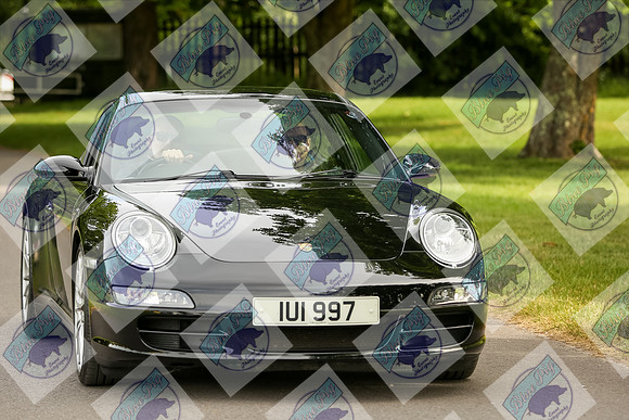 IMGL0003