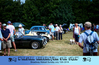 Candid Show Photographs