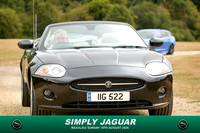 IMGL0008-307-2