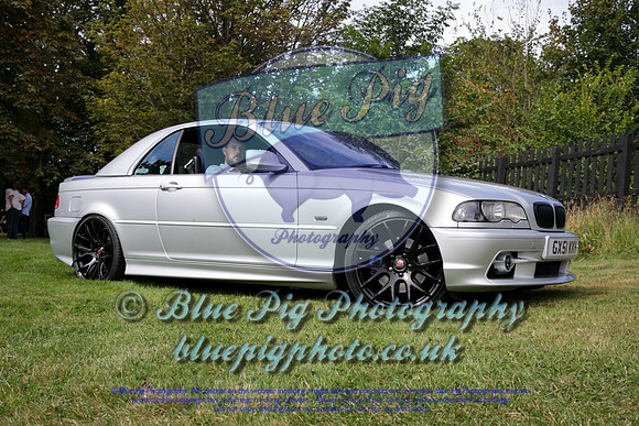 Blue Pig Photos