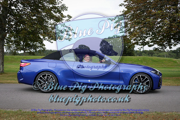 Blue Pig Photos-7