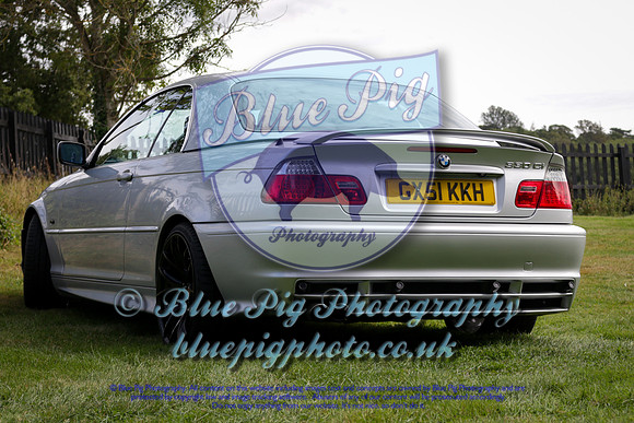 Blue Pig Photos-7