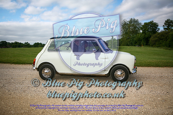 IMG-9(0813)