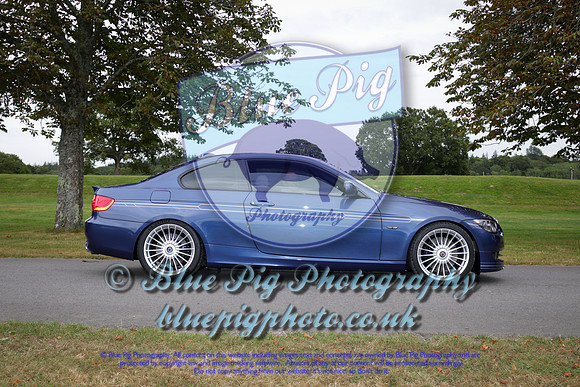 Blue Pig Photos-3