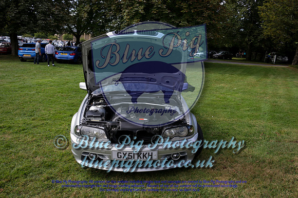 Blue Pig Photos-3