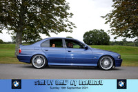 Blue Pig Photos-585