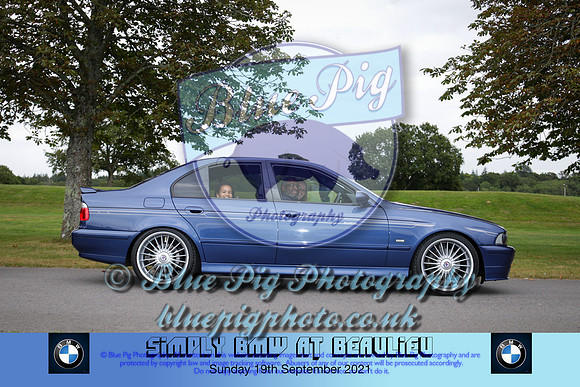 Blue Pig Photos-585