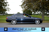 Blue Pig Photos-586