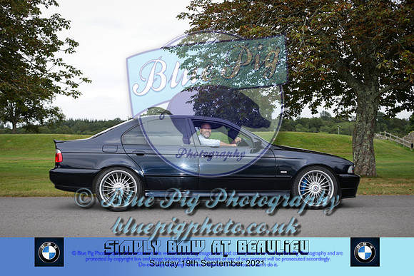 Blue Pig Photos-586