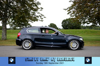 Blue Pig Photos-589