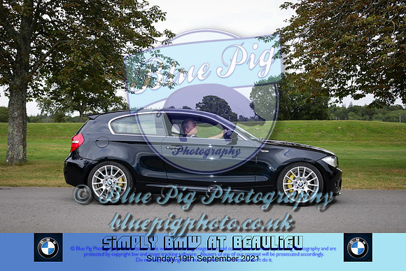Blue Pig Photos-589