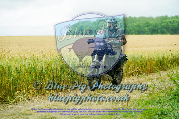 JAG01599