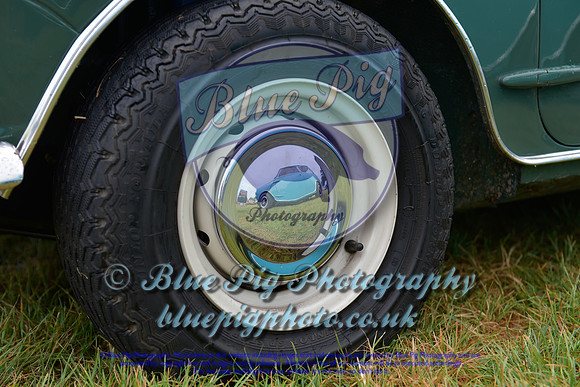 IMG_-13