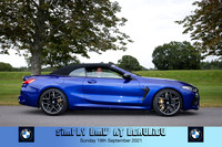 Blue Pig Photos-583