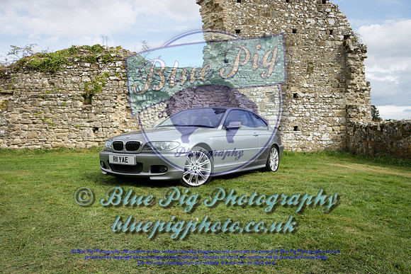Blue Pig Photos-10