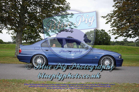 Blue Pig Photos-4