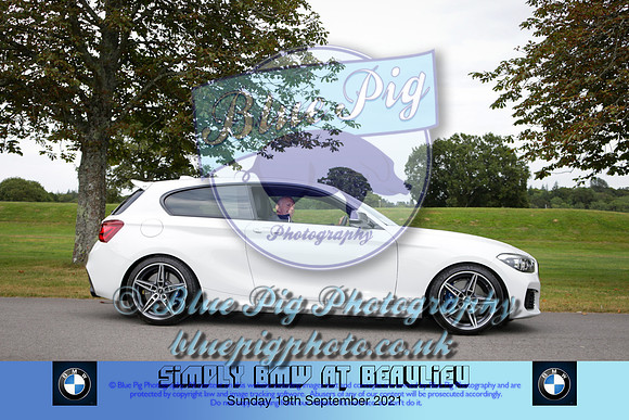 Blue Pig Photos-590