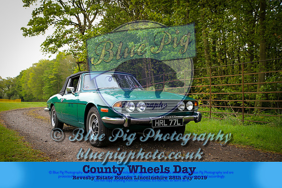 untitled-0019-3