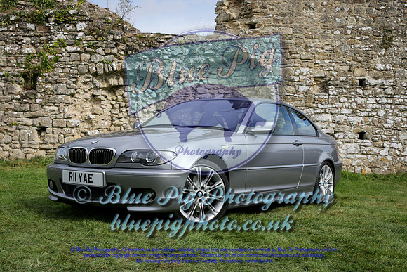 Blue Pig Photos-11