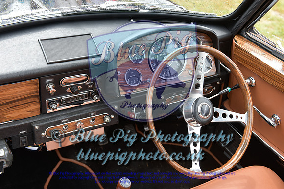 IMG_-11