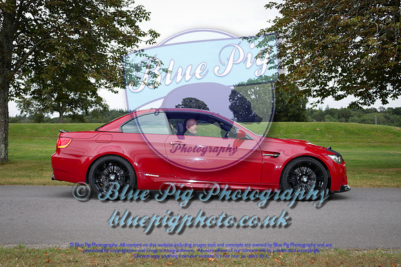 Blue Pig Photos-10