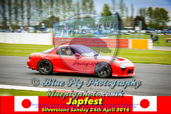 IMG_2442-2