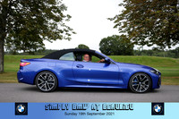 Blue Pig Photos-588