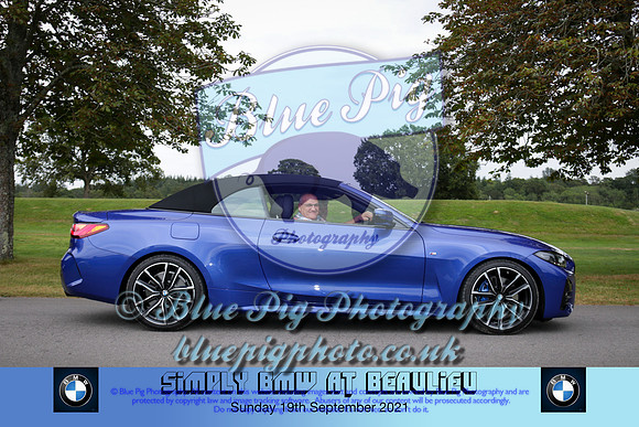 Blue Pig Photos-588