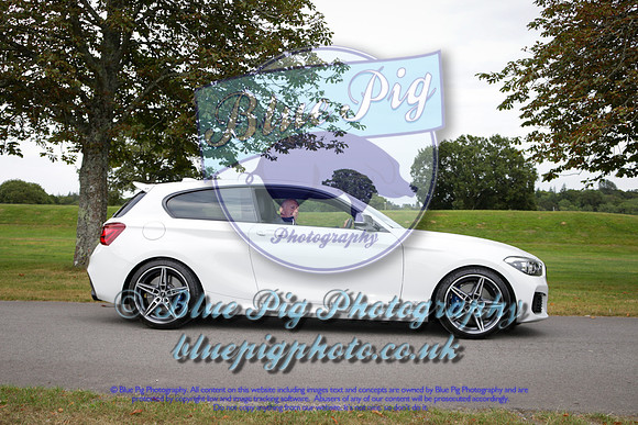 Blue Pig Photos-9